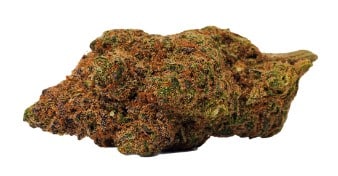 BOLD - Orange Crush Sativa 3.5g