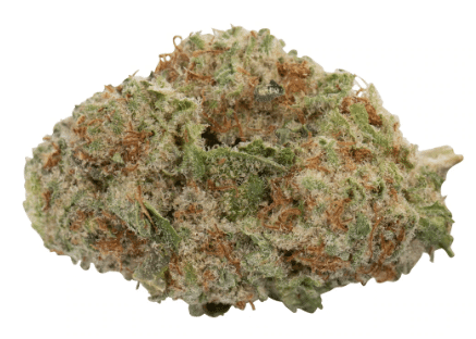 WAGNERS - Cherry Jam - Image 3