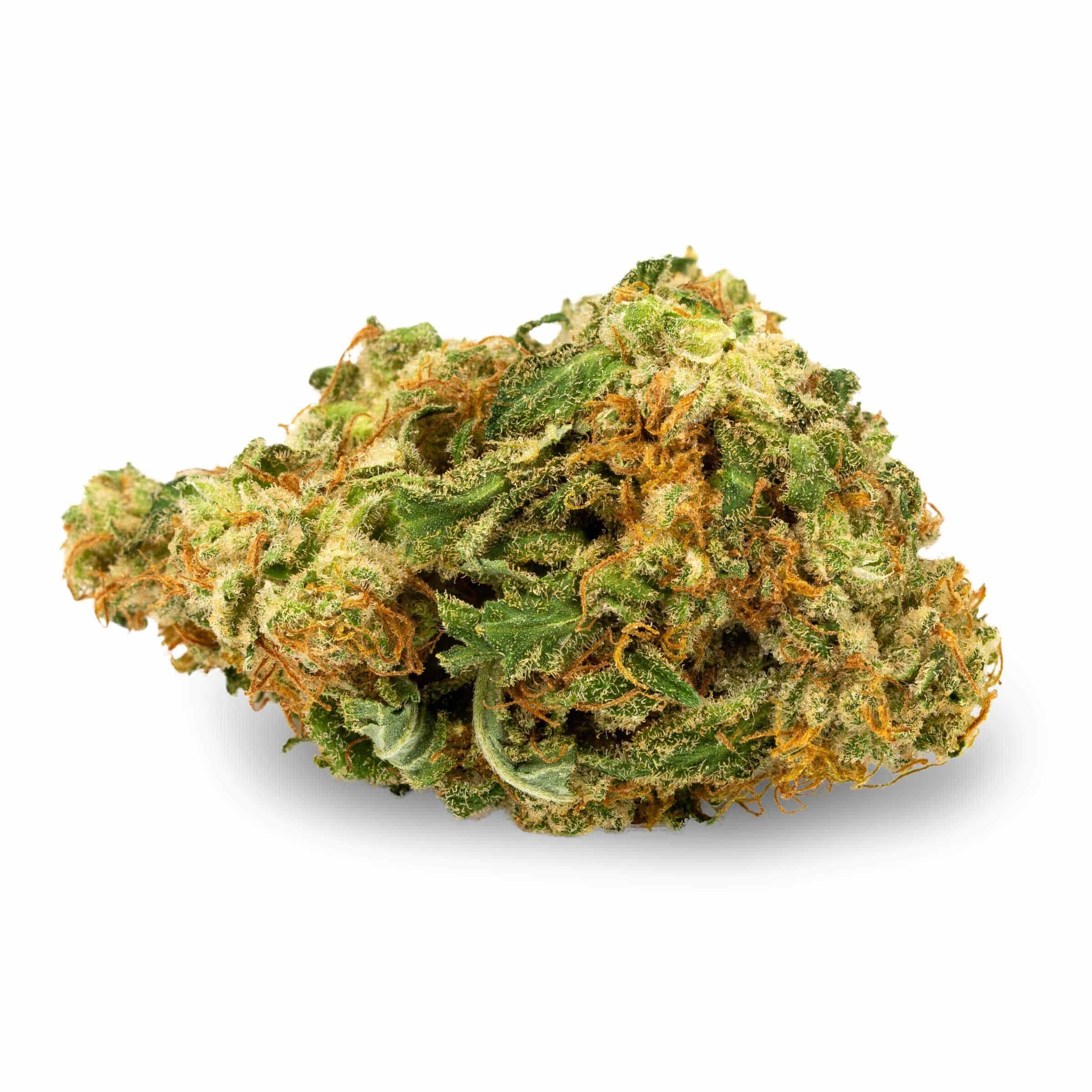 Aurora - Blue Dream - Image 4