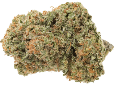 1964 - Organic Romulan