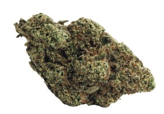 BOLD - Munyunz Indica 3.5g