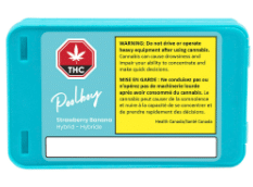 Poolboy - Strawberry Banana Pre-Roll