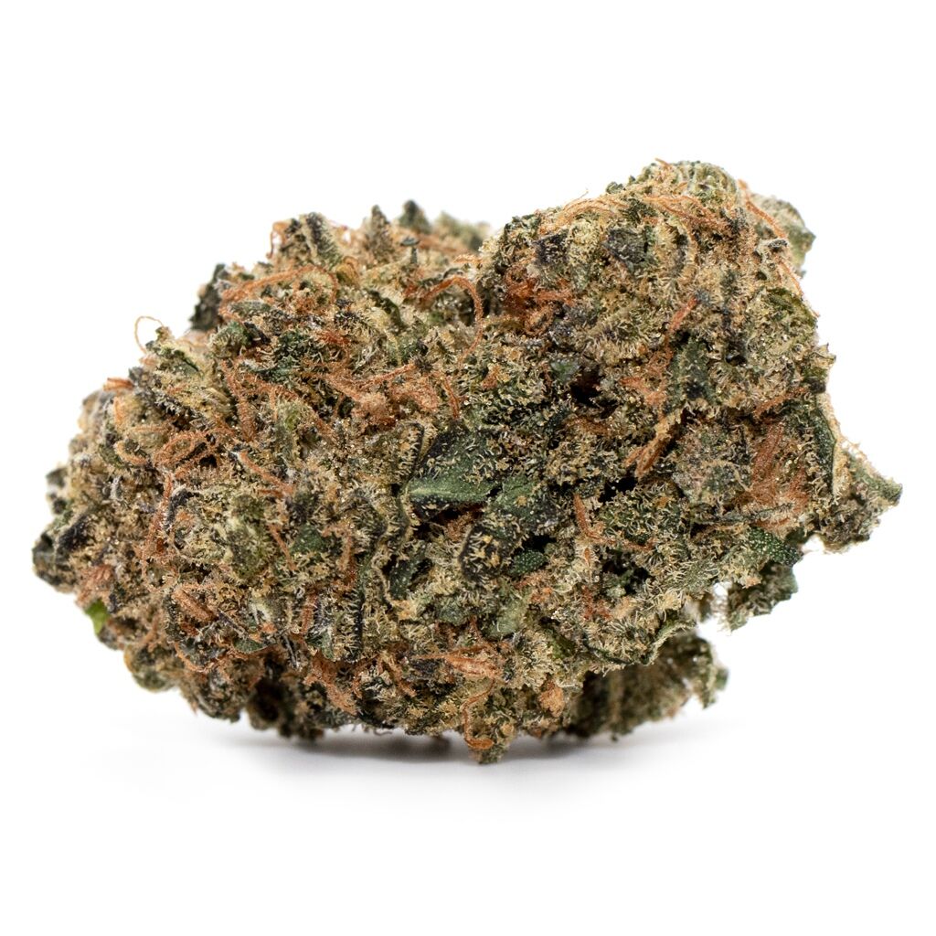 Reef Organic - Ebb & Flow