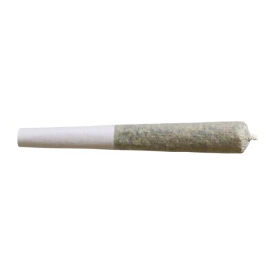 SHRED - Gnarberry J's Pre-Rolls - Hybrid 14x0.5g