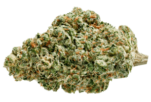 Fraser Valley - White Fire OG Hybrid 28g - Image 2