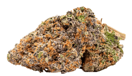 Coterie - Select Pheno #7