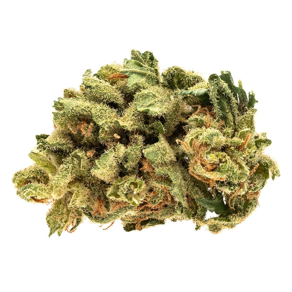 RIFF - Raider Kush - Image 2