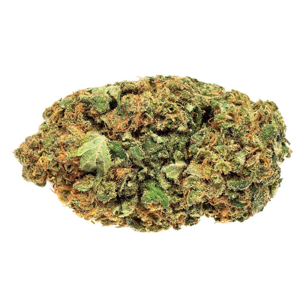 Solei - Free - Image 4