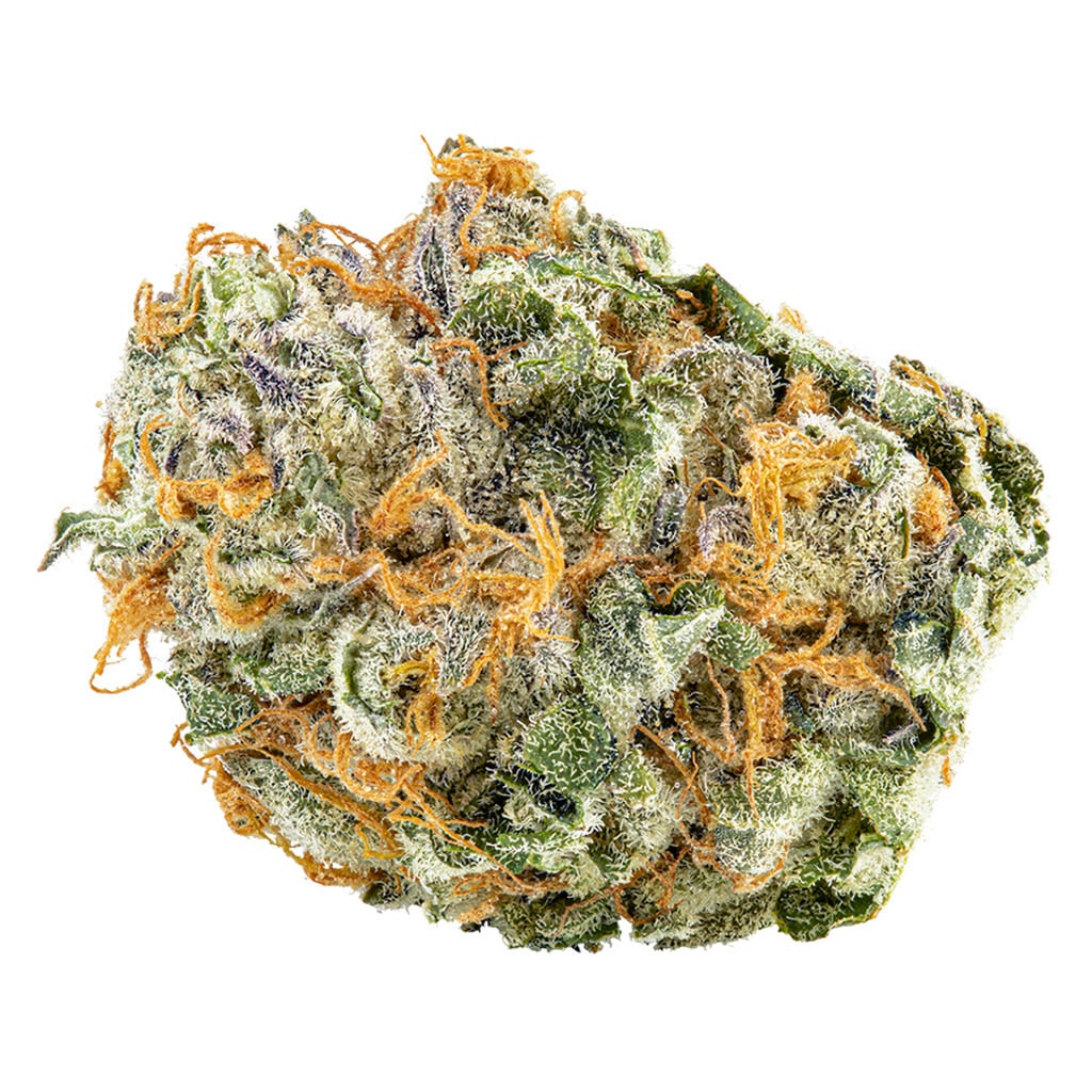 Big Bag O Buds - Black Cherry Punch - Image 2