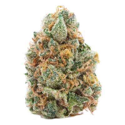 Spinach - GMO Cookies - Indica 3.5g
