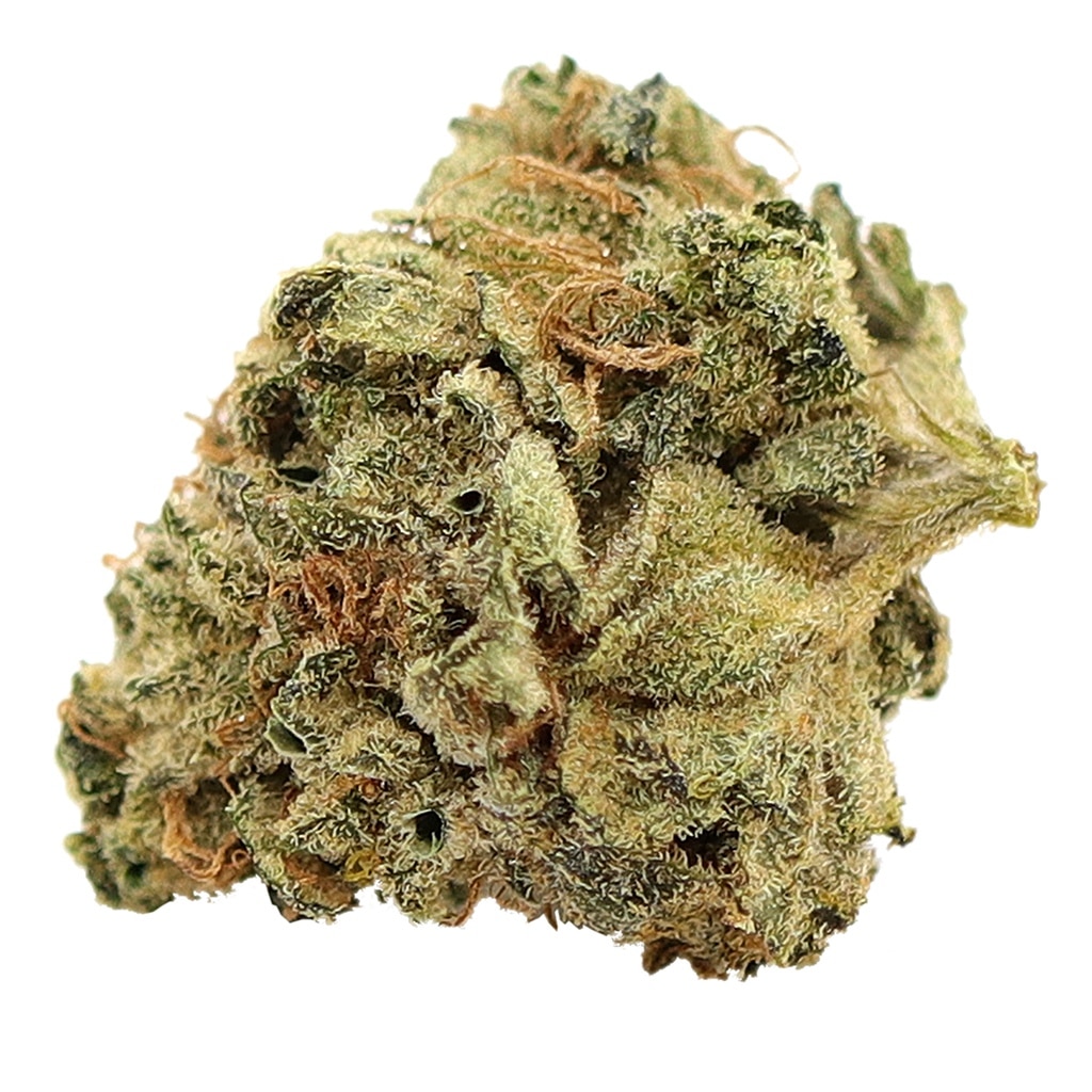 Reef Organic - Coastal Kush - Image 2