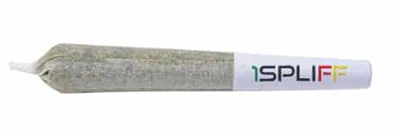 1Spliff - Mac N Cheese Pre-Roll Hybrid 7x0.5g - Image 2