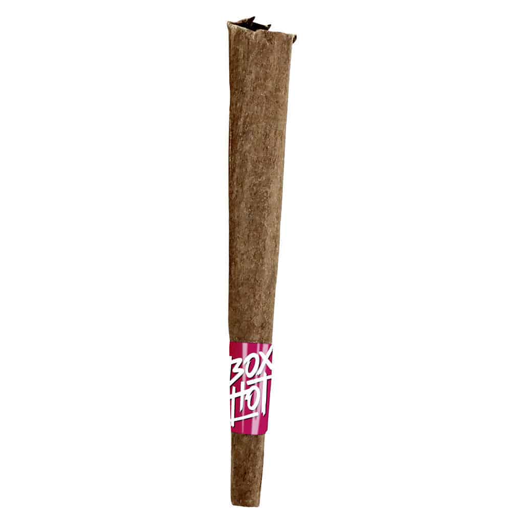 BOXHOT - Fatties - Dragon's Breath Infused Blunt Sativa 1x1g