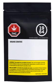 1964 - Organic Comatose - Image 3