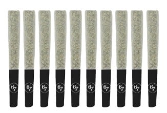 Sixty Seven Sins - Canadian Chill Pre-roll Hybrid 10x0.5g
