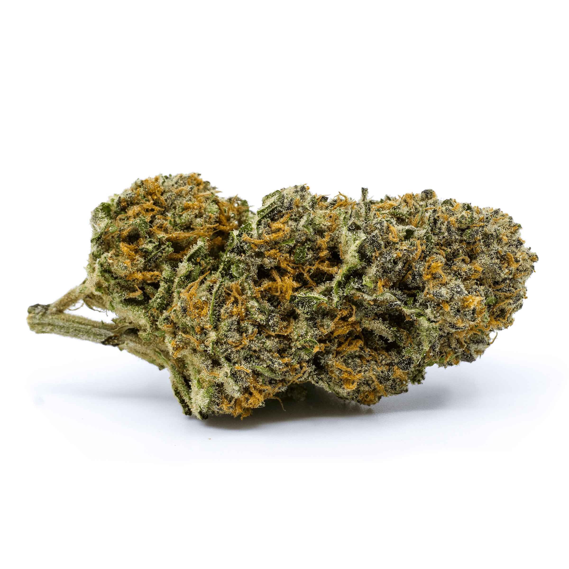 Redecan - Wappa - Image 3
