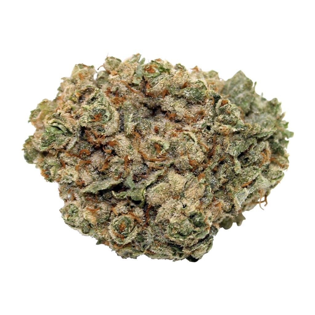Steel City Green - HiFi 4G - Image 2