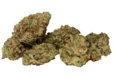 Good Buds - Living Soil Organics - Gluerangutan Hybrid 7g
