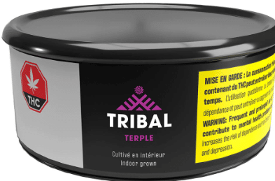 Tribal - Terple - Image 2
