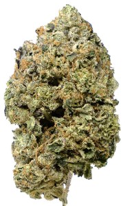 Pistol and Paris - Pink Goo Indica 3.5g