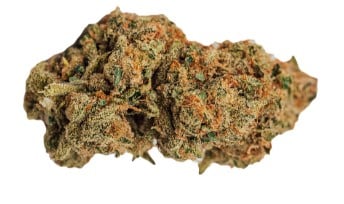 BOLD - Death Star Indica 3.5g