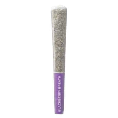 Pistol and Paris - Blackberry Breath Pre-Roll Indica 3x0.5g
