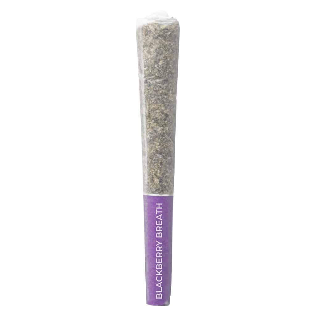 Pistol and Paris - Blackberry Breath Pre-Roll Indica 3x0.5g
