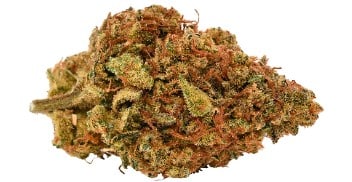 5 Points Cannabis - Stinky Pinky 1:1 CBD Balance 3.5g