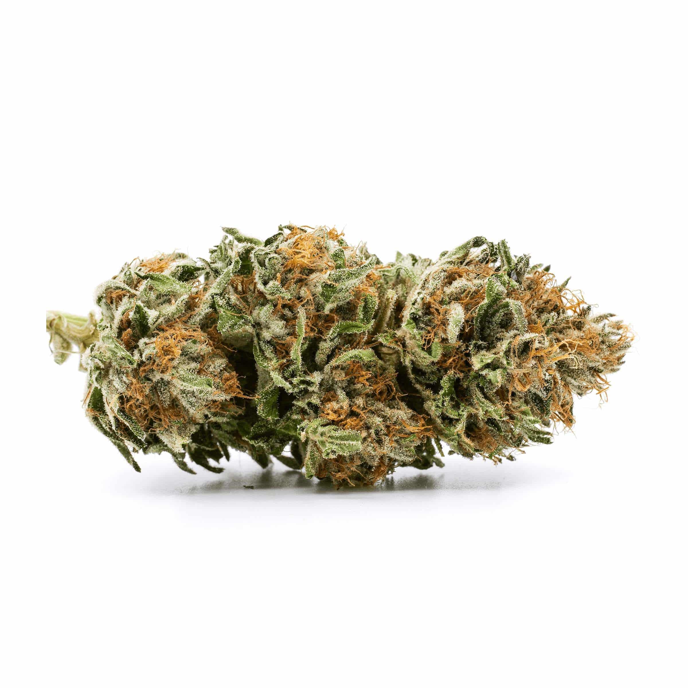 Redecan - Charlees - Image 4