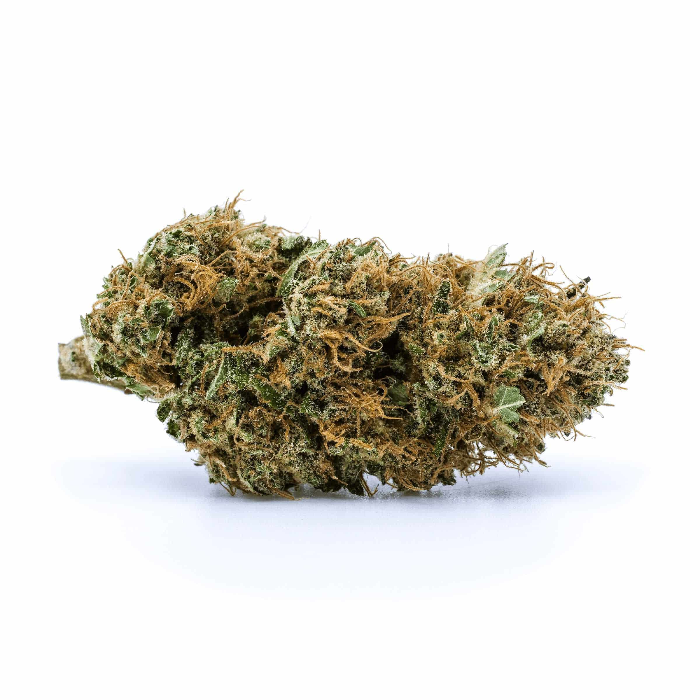Redecan - Long Weekend - Image 3
