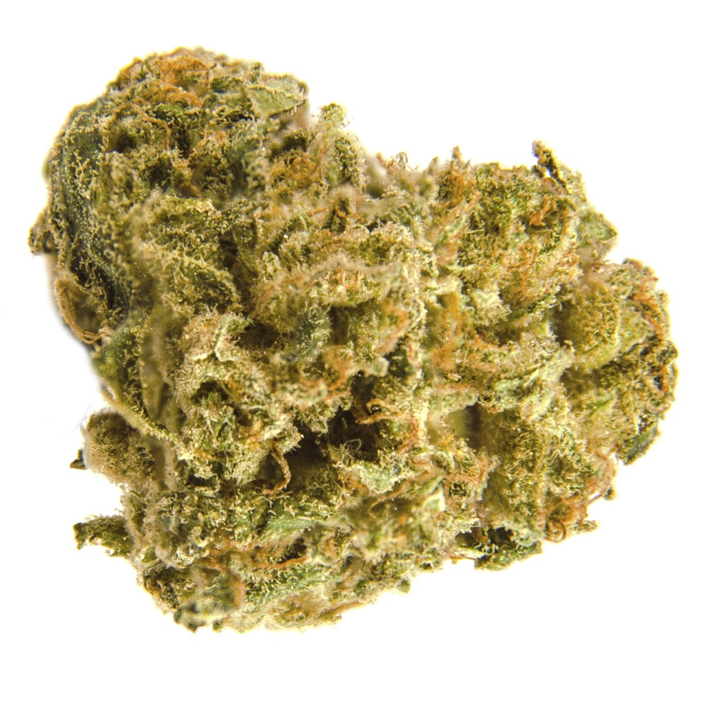 Divvy - Black Widow CBD