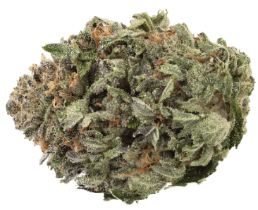 1964 - Organic Comatose - 1964 - Organic Comatose Indica 3.5g