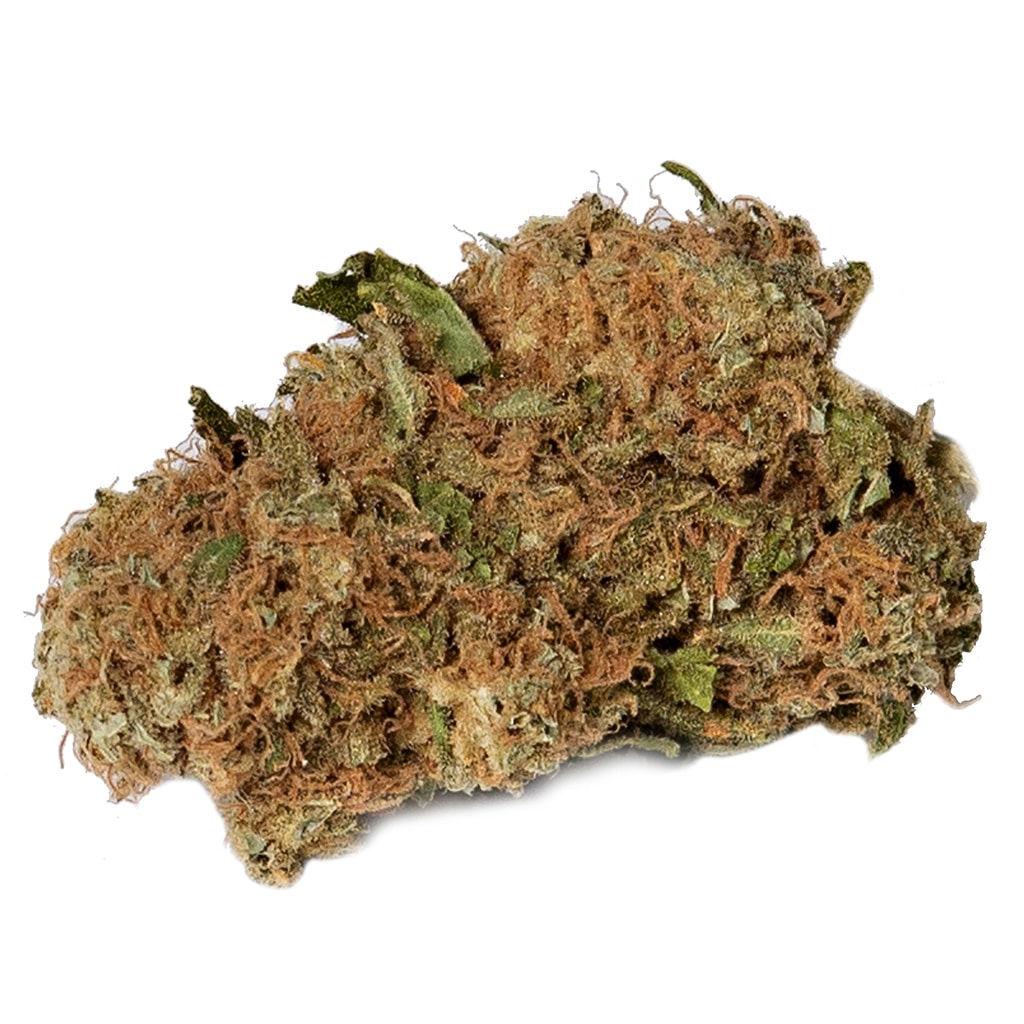 Saturday - Lemon Z - Image 2