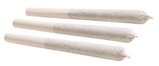 Pure Sunfarms - Baked Animal Pre-Roll Hybrid 3x0.5g - Image 2