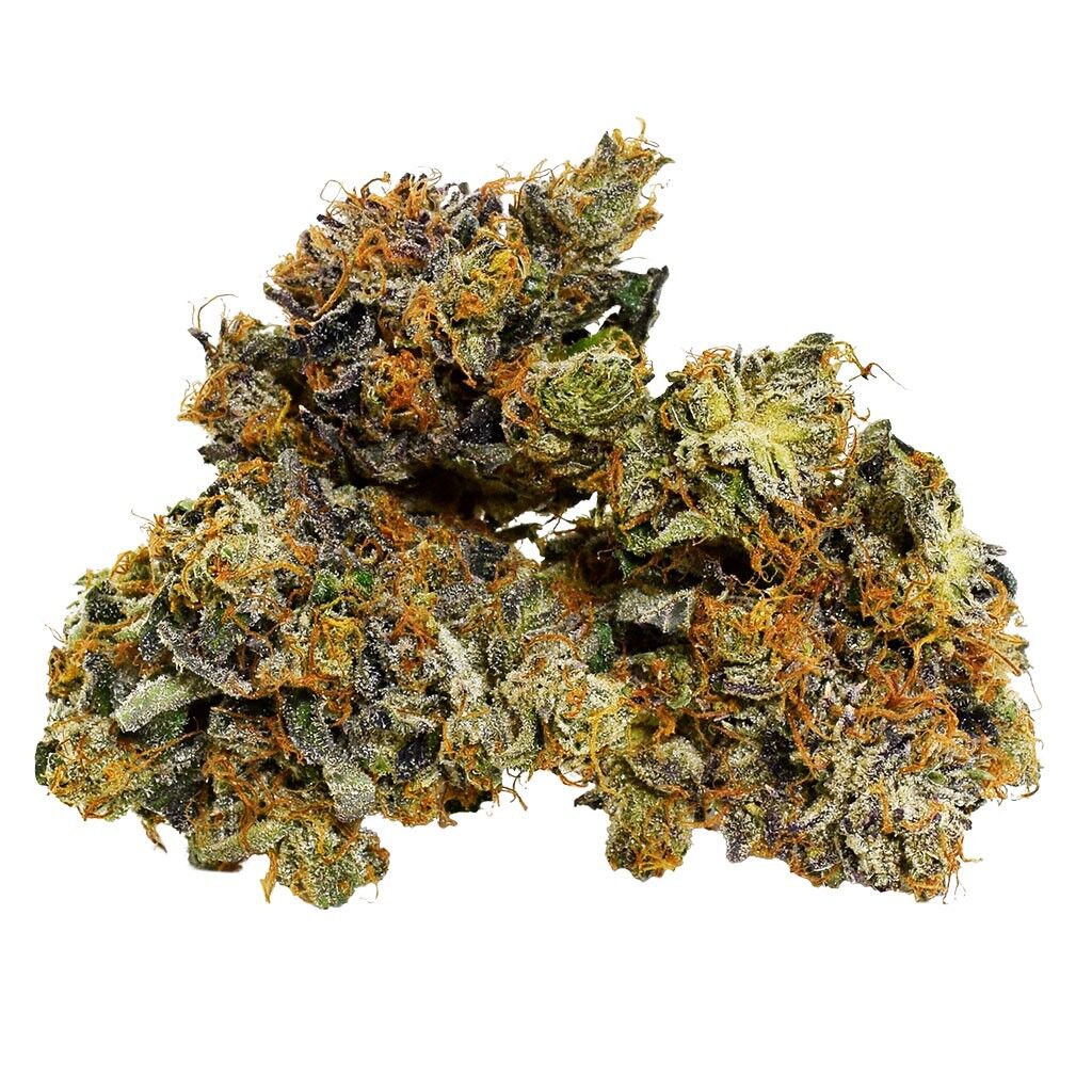 Broken Coast - Savary - Image 2