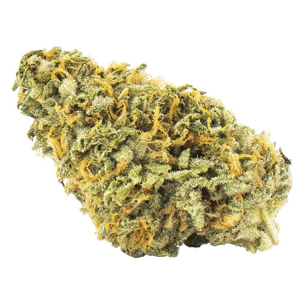 Palmetto - Nuken - Image 2