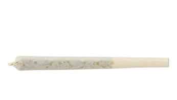 Simply Bare - Rosin Roll Infused Pre-Roll Hybrid 1x1g