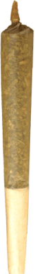 Buddy Blooms - Sativa Pre-Roll - Image 2