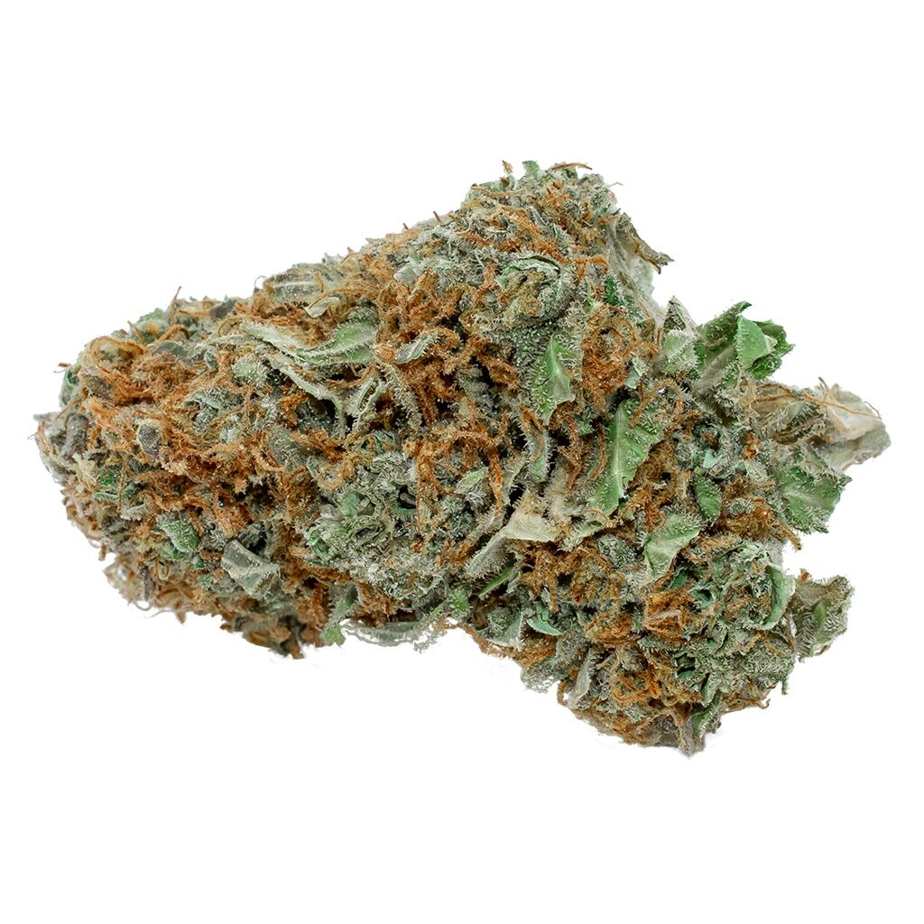 Flowr - BC Sensi Star - Image 3