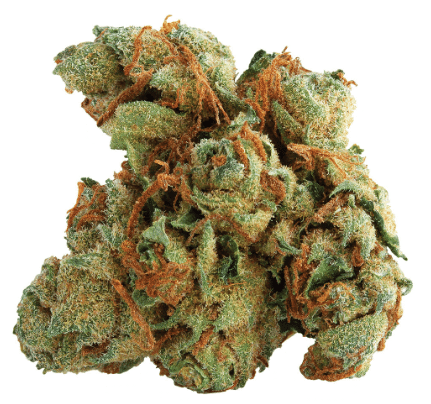 Spinach - Tangerine Twist