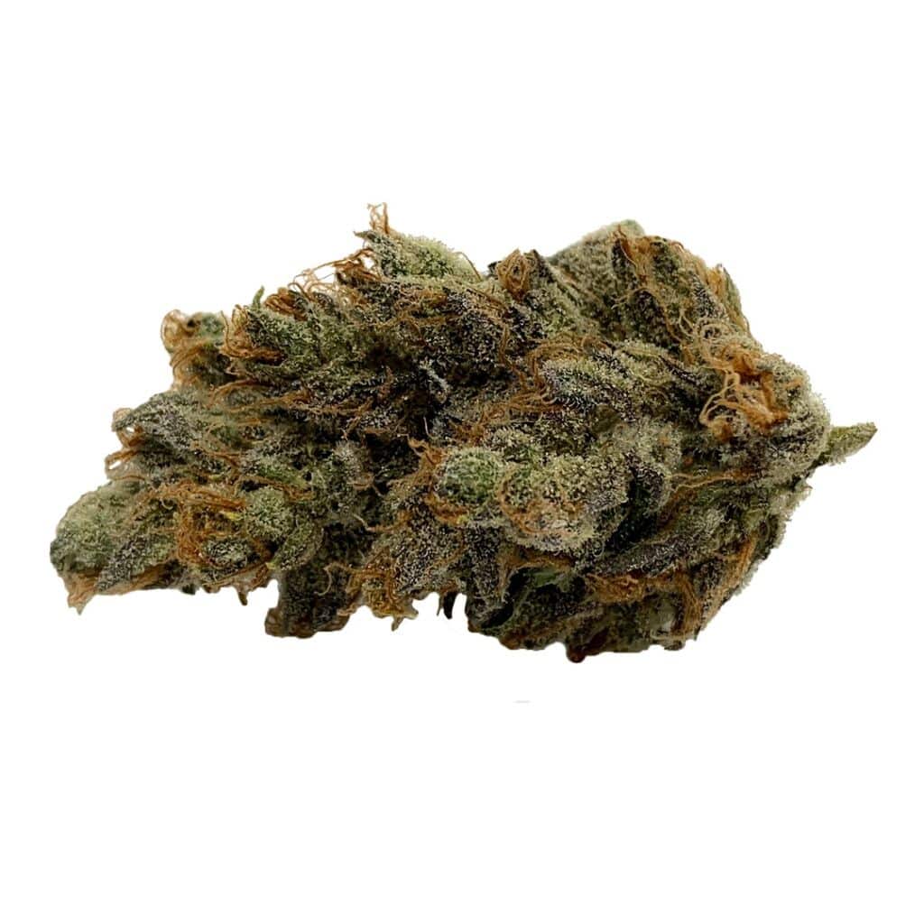 Gage Cannabis Co. - Orange CKS - Image 4