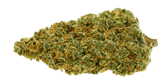 Pure Sunfarms - Gold Face Sativa 3.5g - Image 2