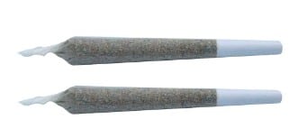 Truro - Jealousy X Apples & Bananas Pre-roll Indica 2x1g - Image 2