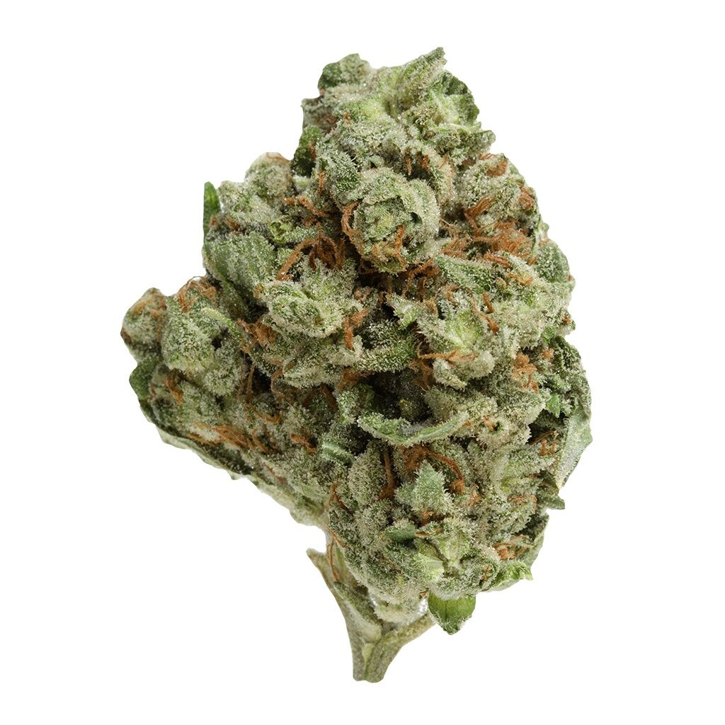 UP - Ghost Train Haze UP20 - Image 2