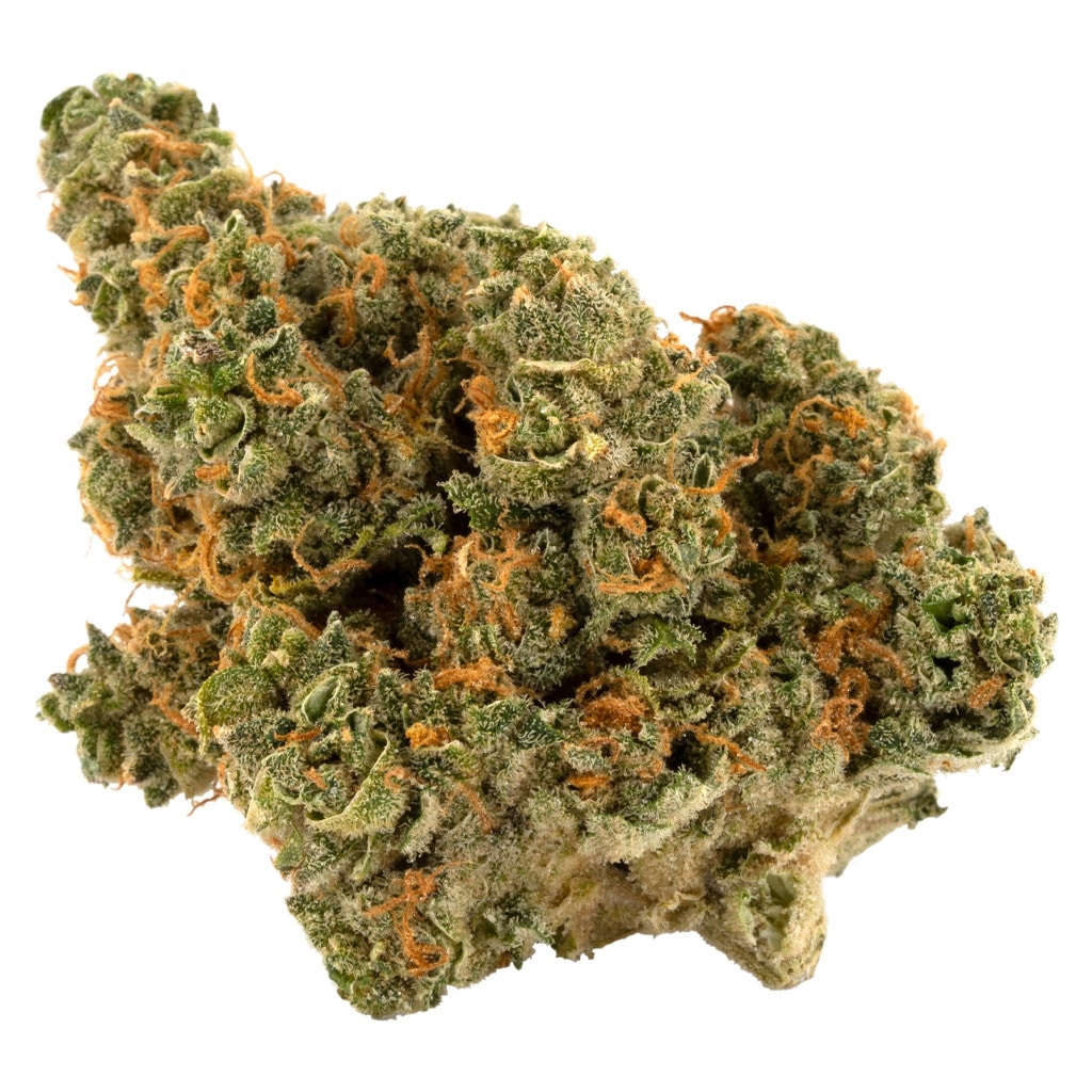 Palmetto - Romulan - Image 2