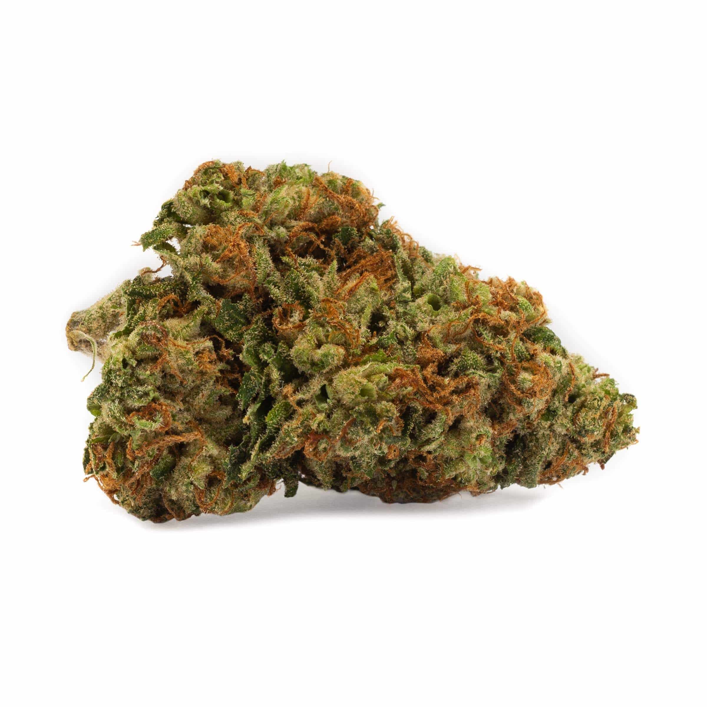 DNA Genetics - Kosher Kush - Image 4