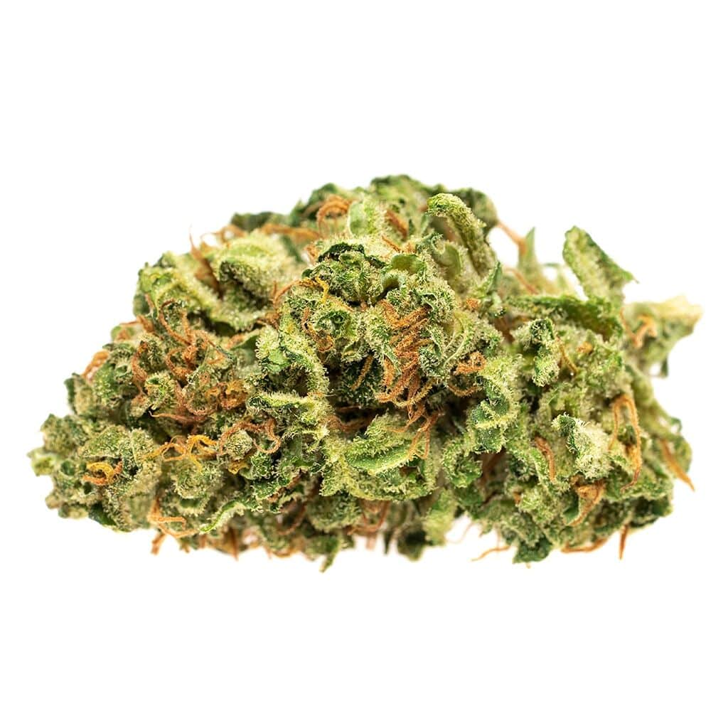 Good Supply - Jean Guy - Image 5