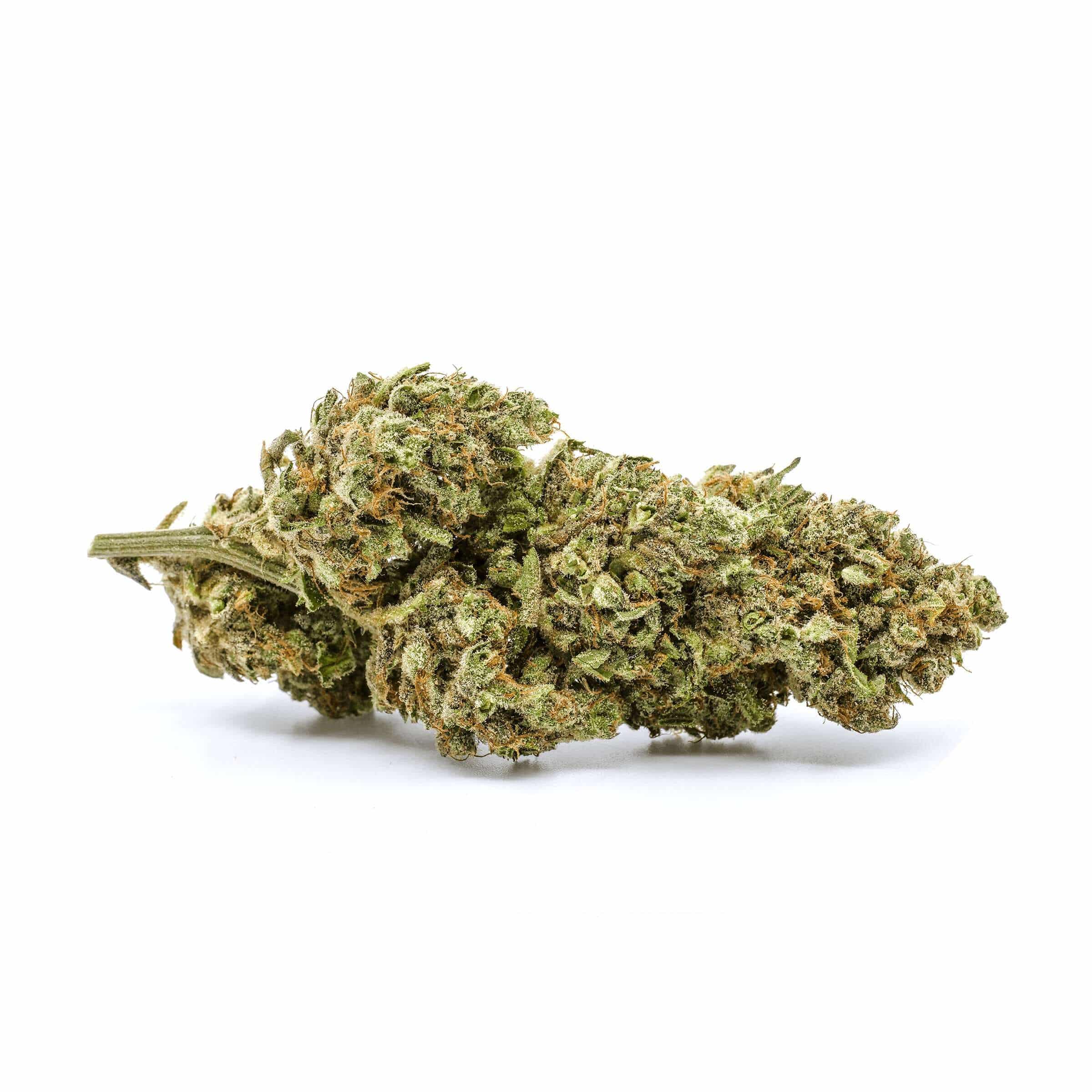 Redecan - God Bud - Image 4