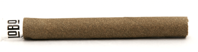 LOBO - Presidente Blunt - Image 2