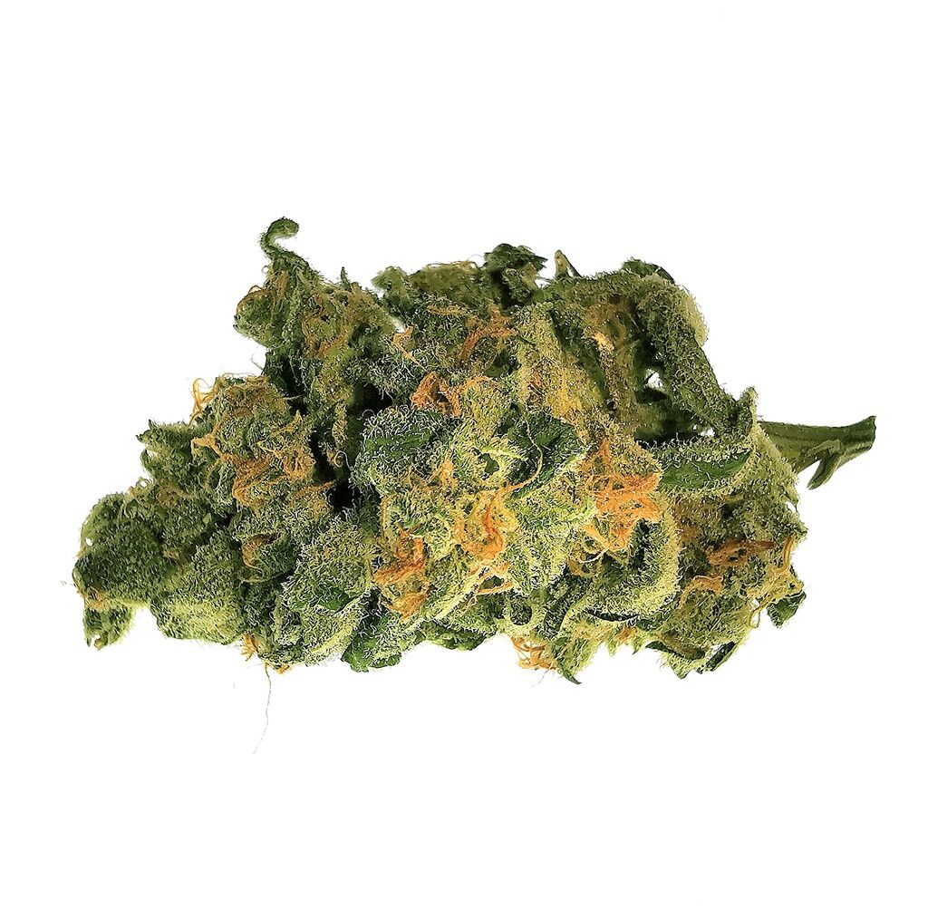 48North - Granddaddy Purple - Image 2